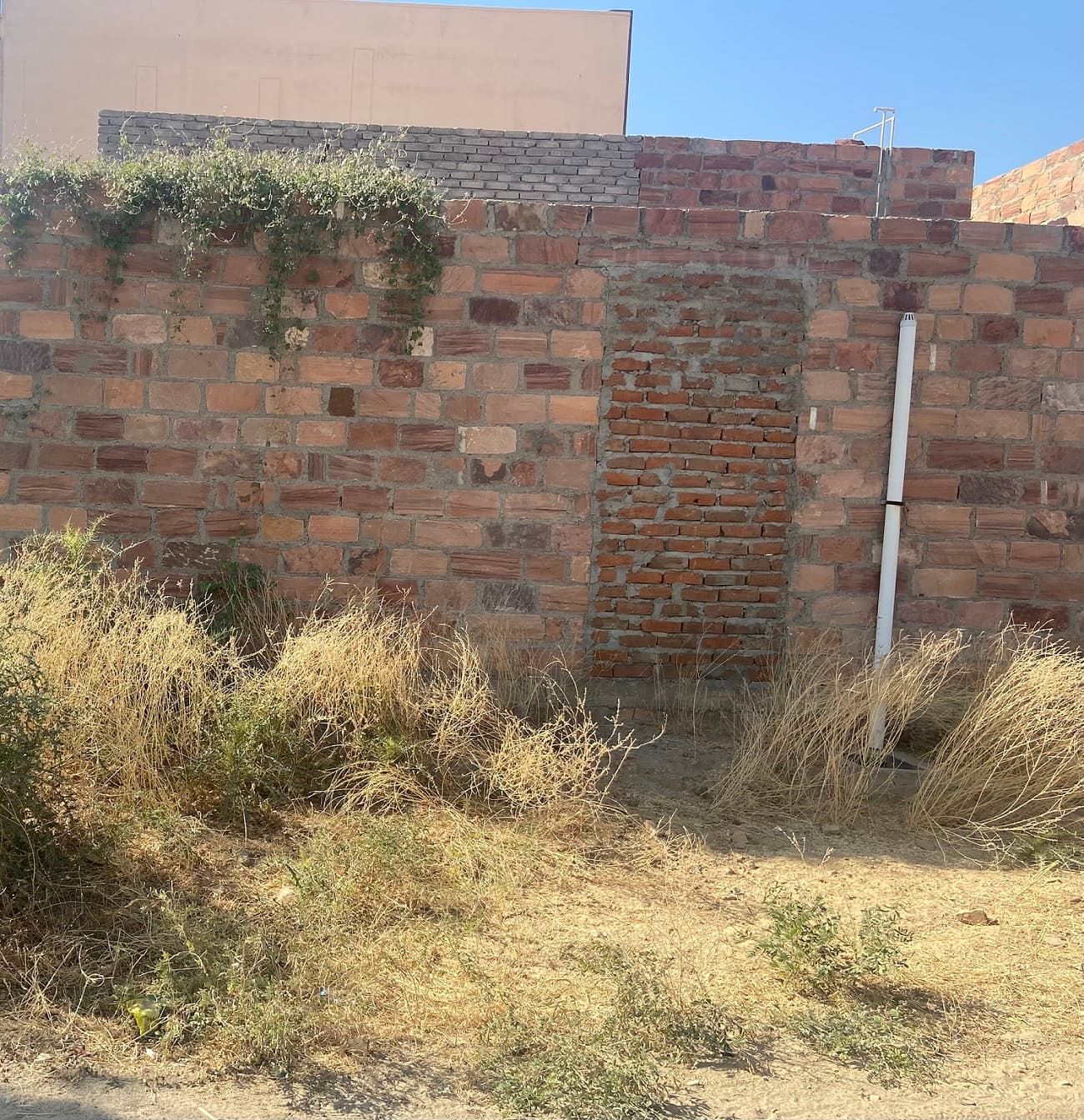Property Photos 6
