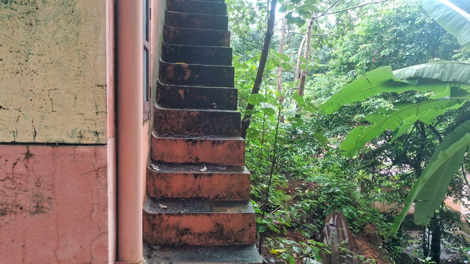 Property Photos 6