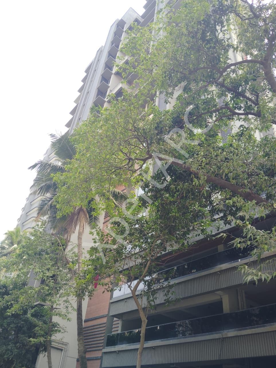 Property Photos 6