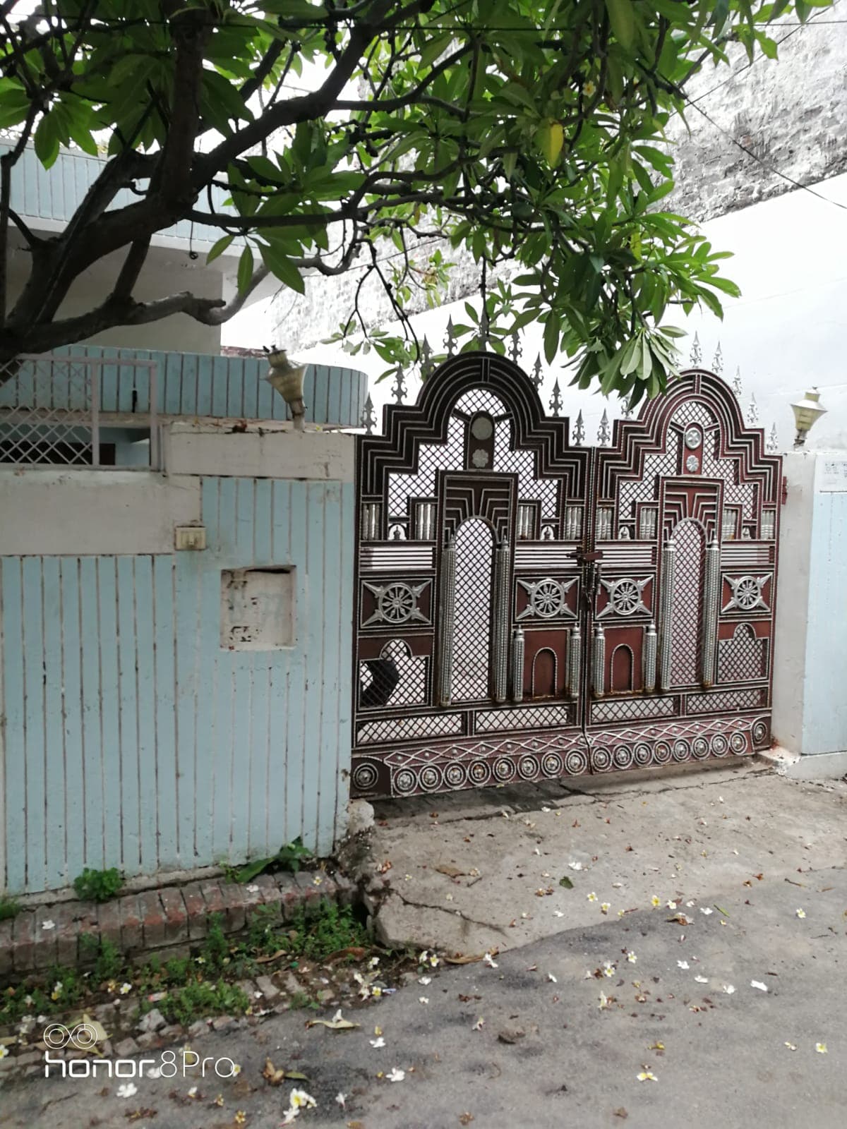 Property Photos 2