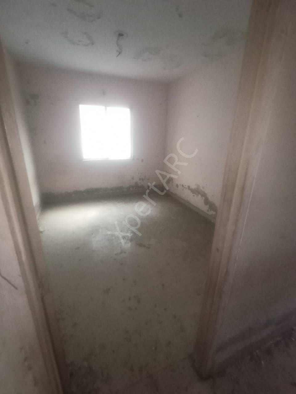 Property Photos 4