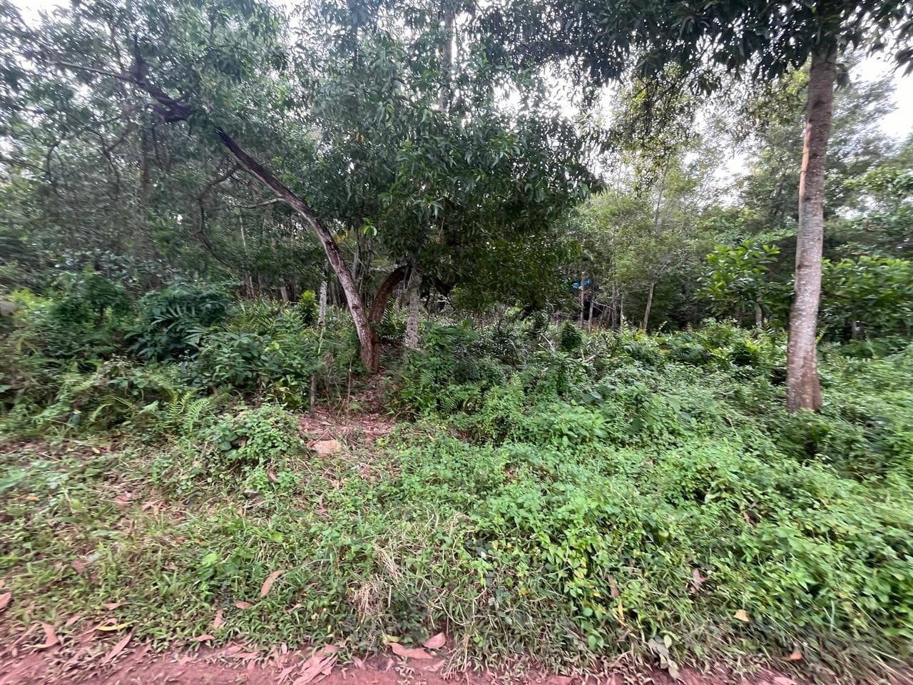Property Photos 5