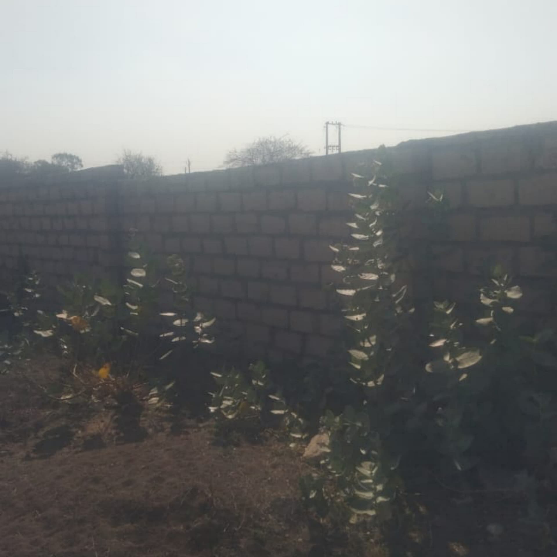 Property Photos 2
