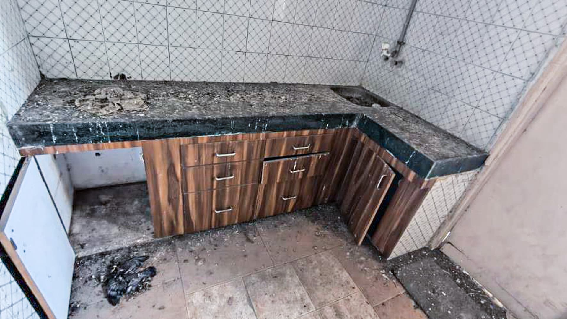 Property Photos 6
