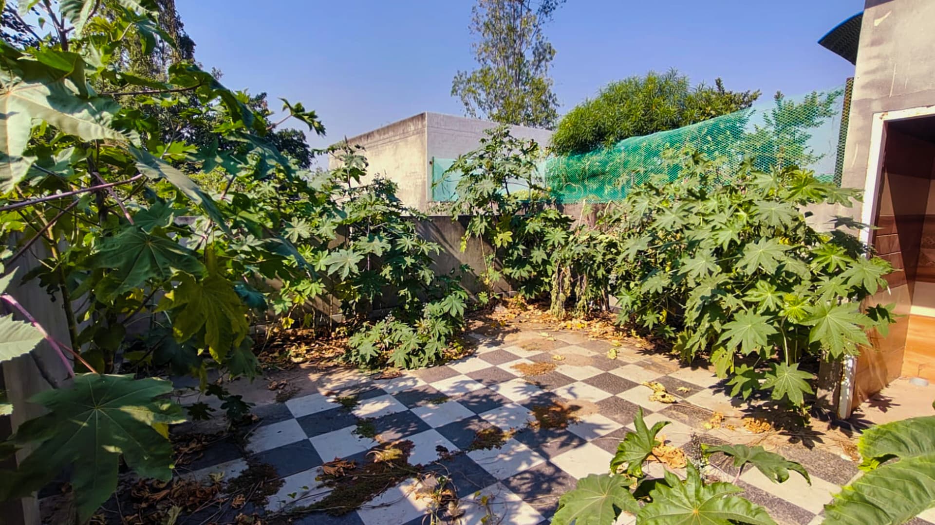 Property Photos 11