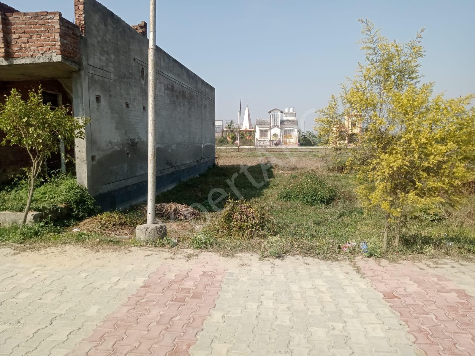 Property Photos 6