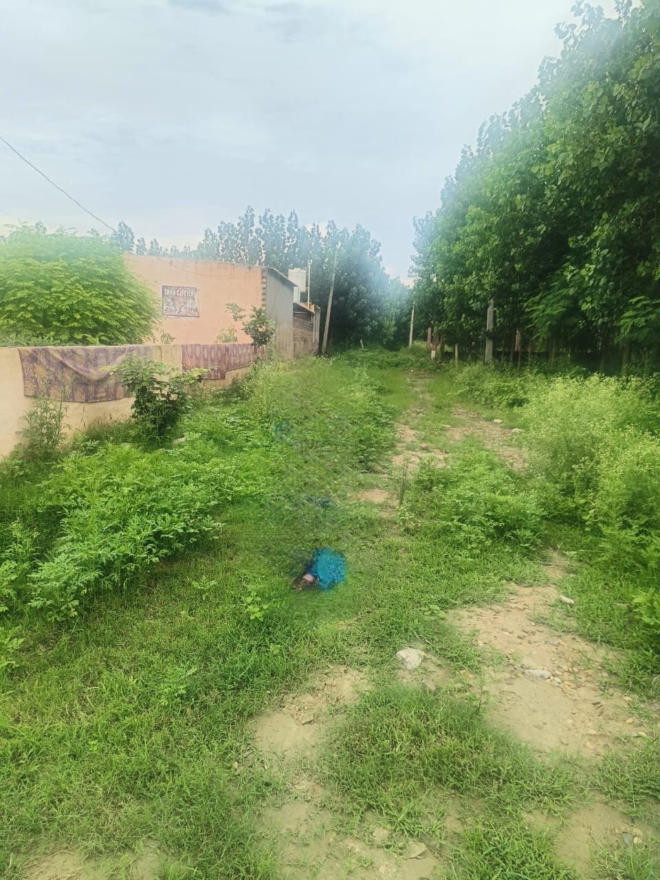 Property Photos 1
