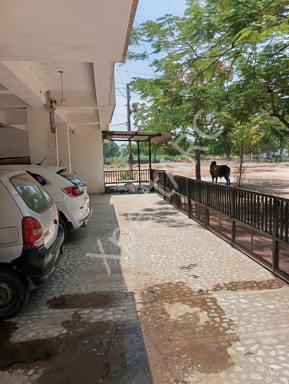 Property Photos 19