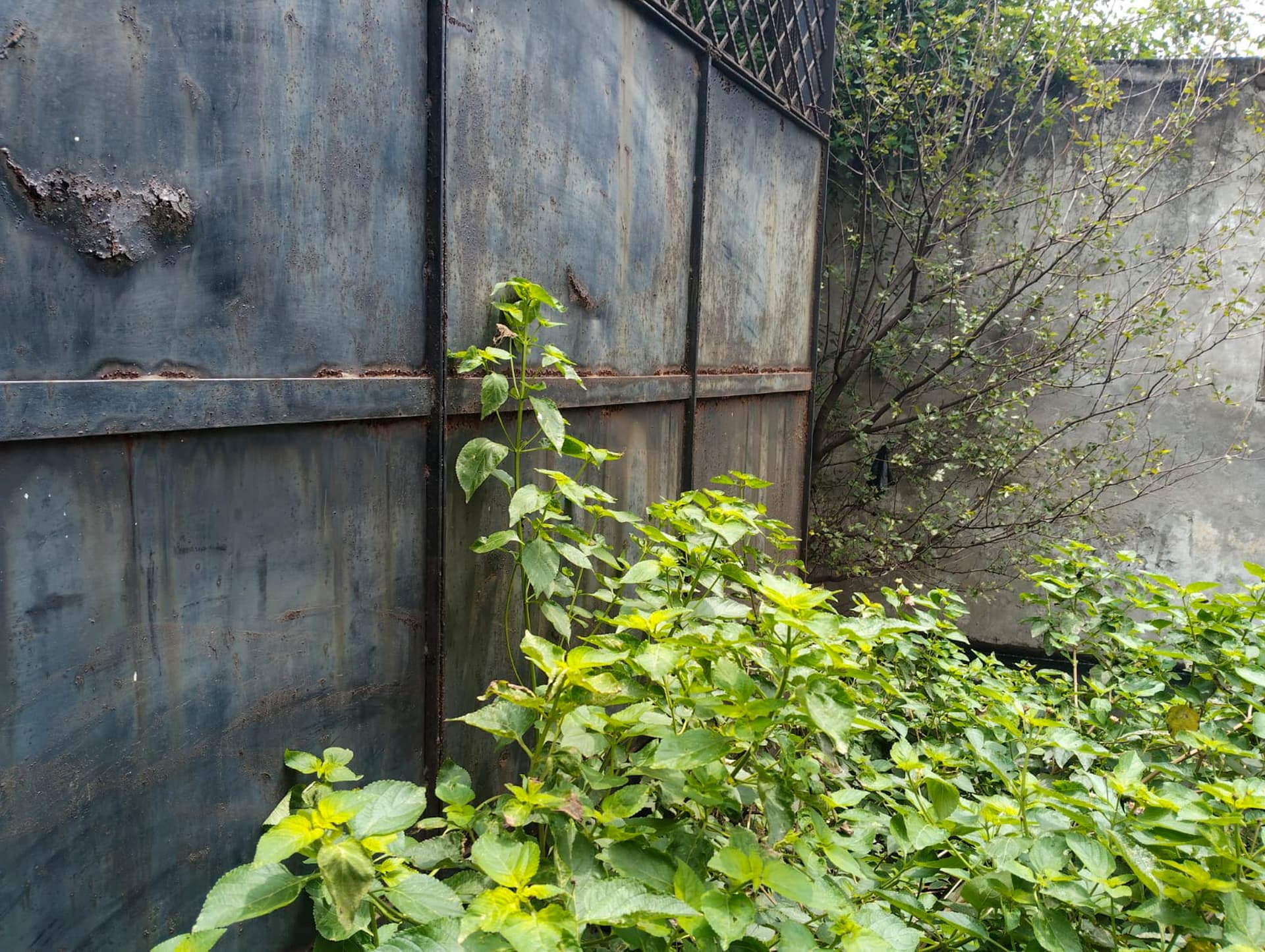 Property Photos 2
