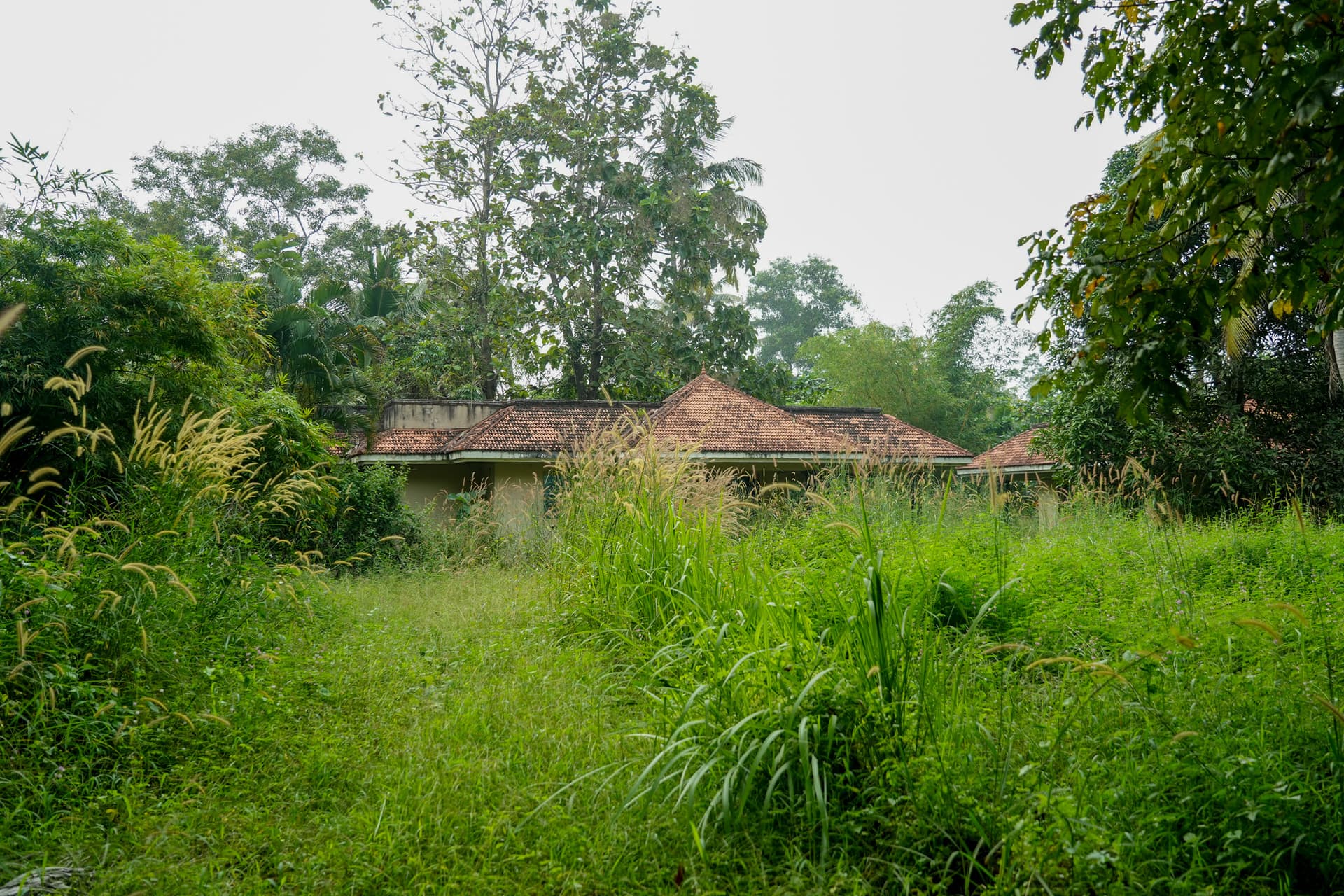 Property Photos 9