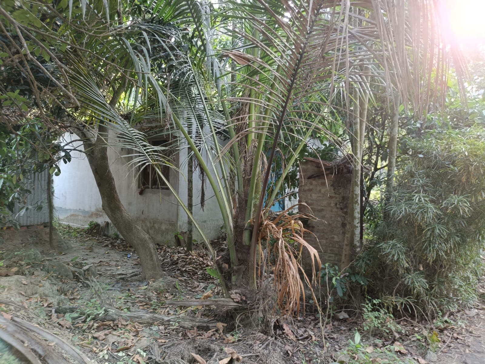 Property Photos 5