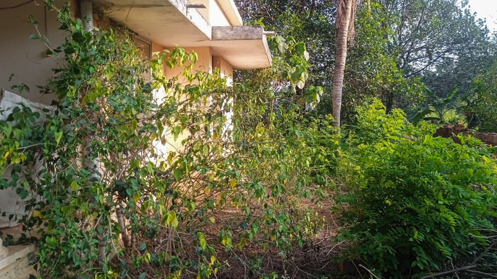 Property Photos 5