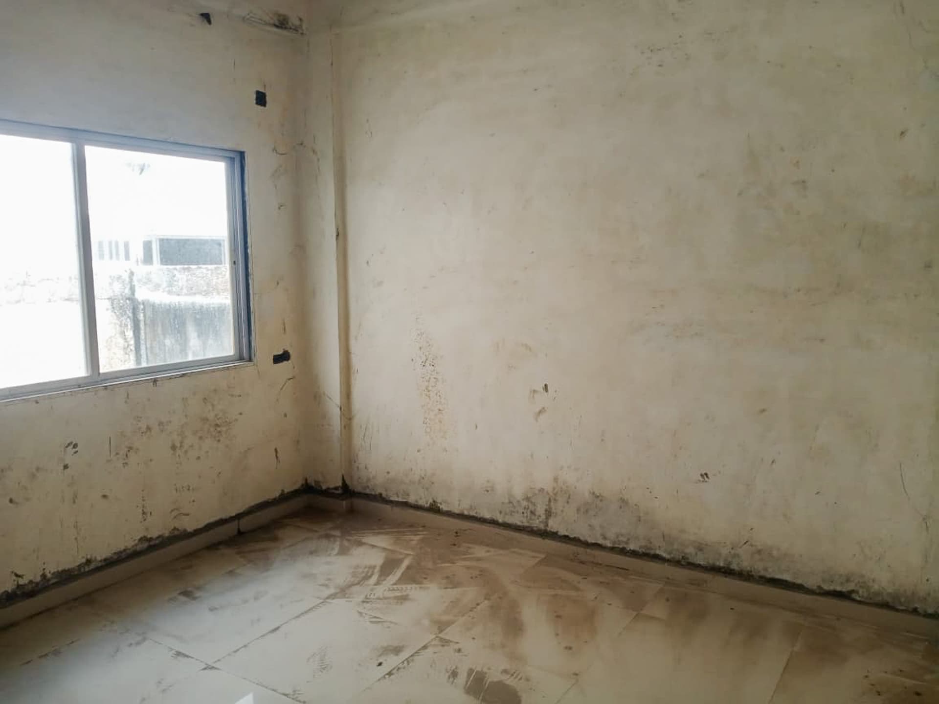 Property Photos 4