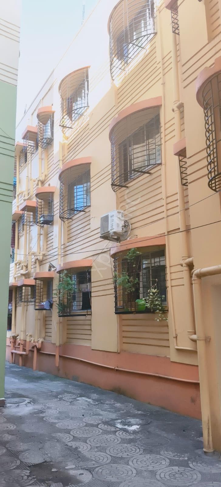 Property Photos 4