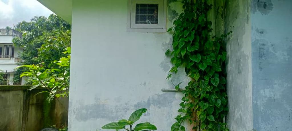 Property Photos 20