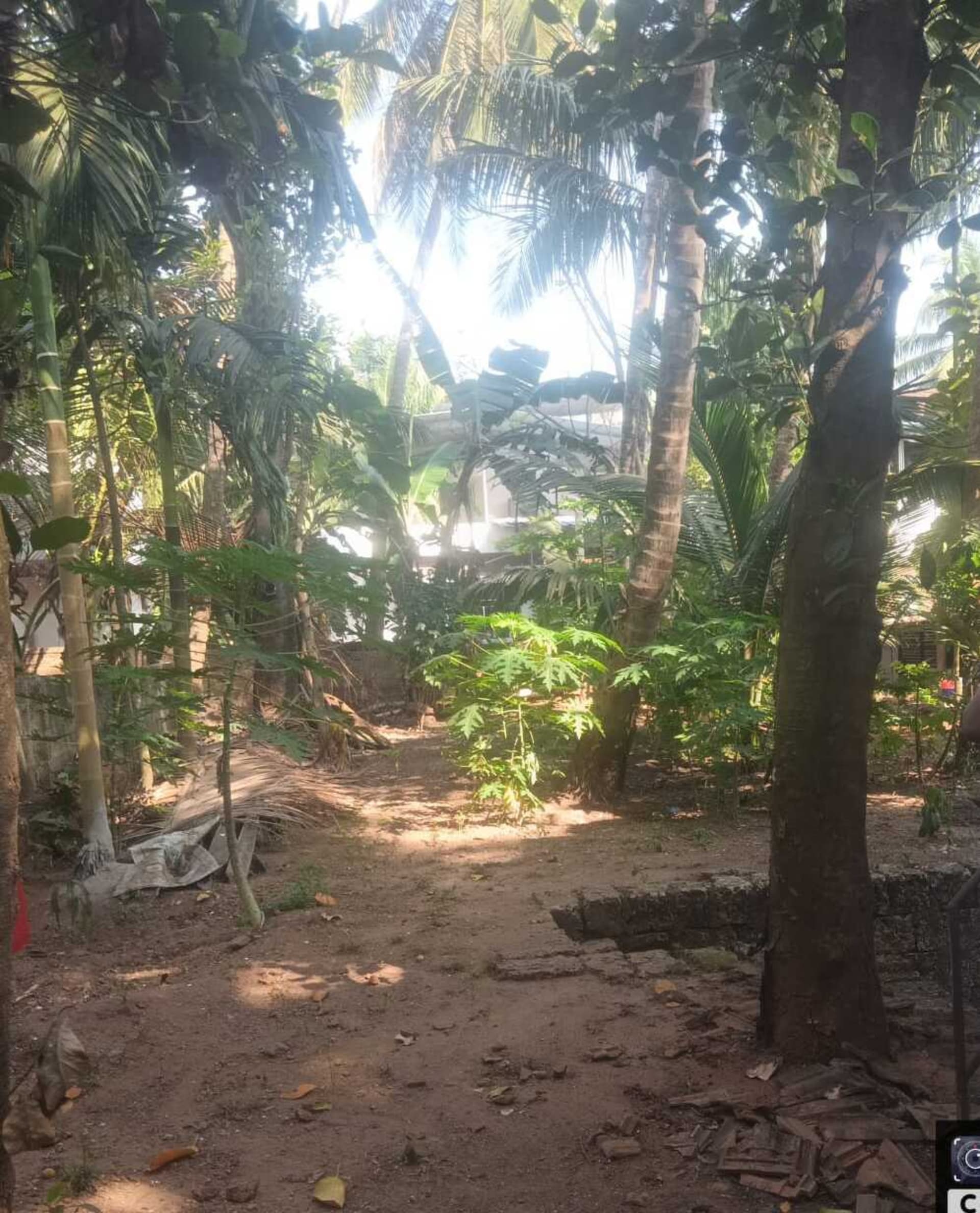 Property Photos 2