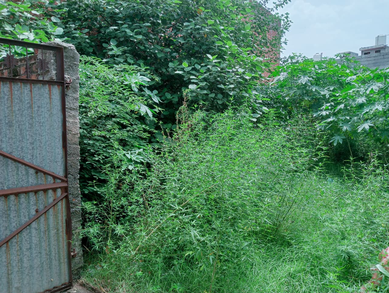 Property Photos 4