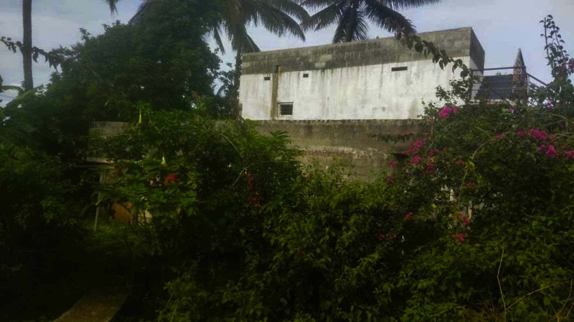 Property Photos 6