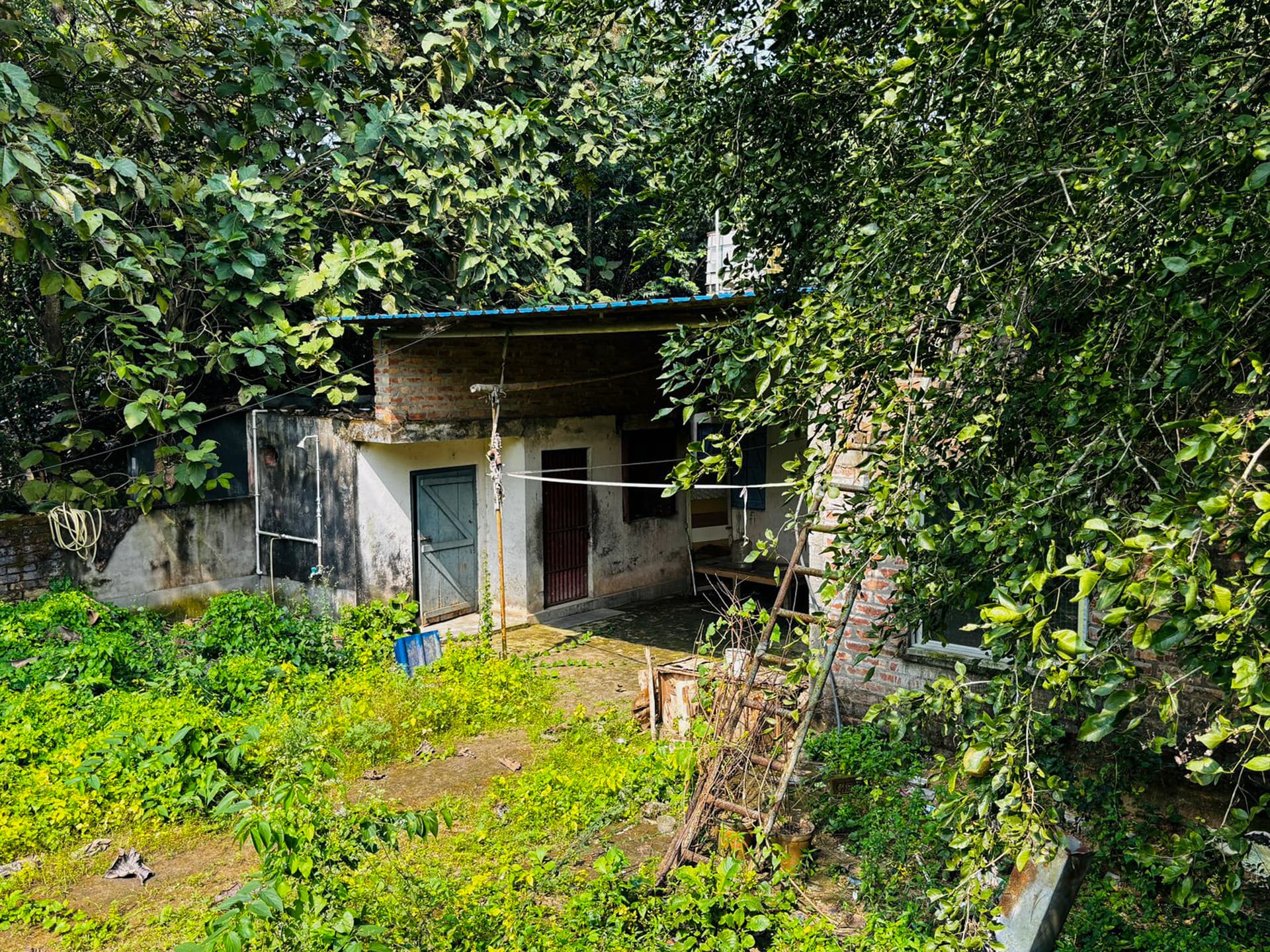 Property Photos 3