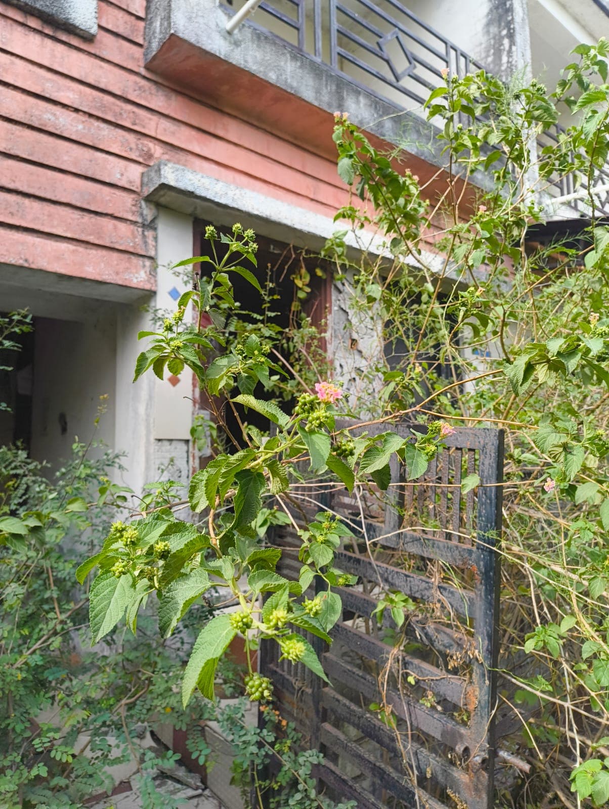 Property Photos 17