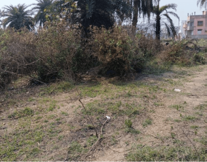Property Photos 2