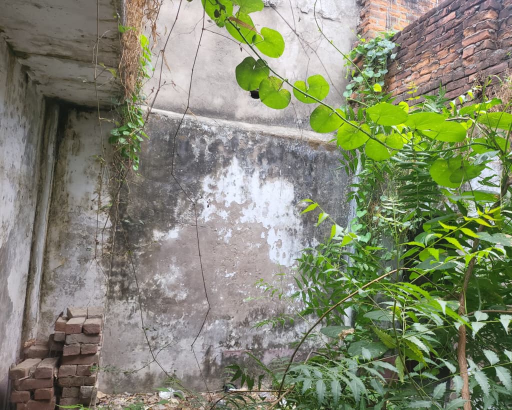 Property Photos 19