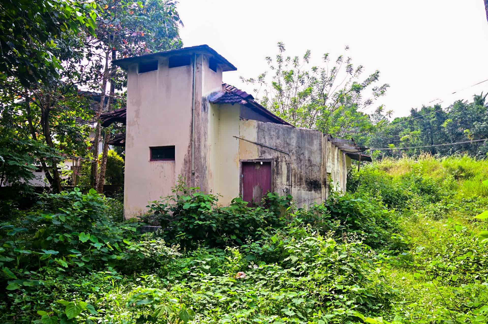 Property Photos 6