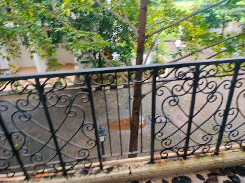 Property Photos 12