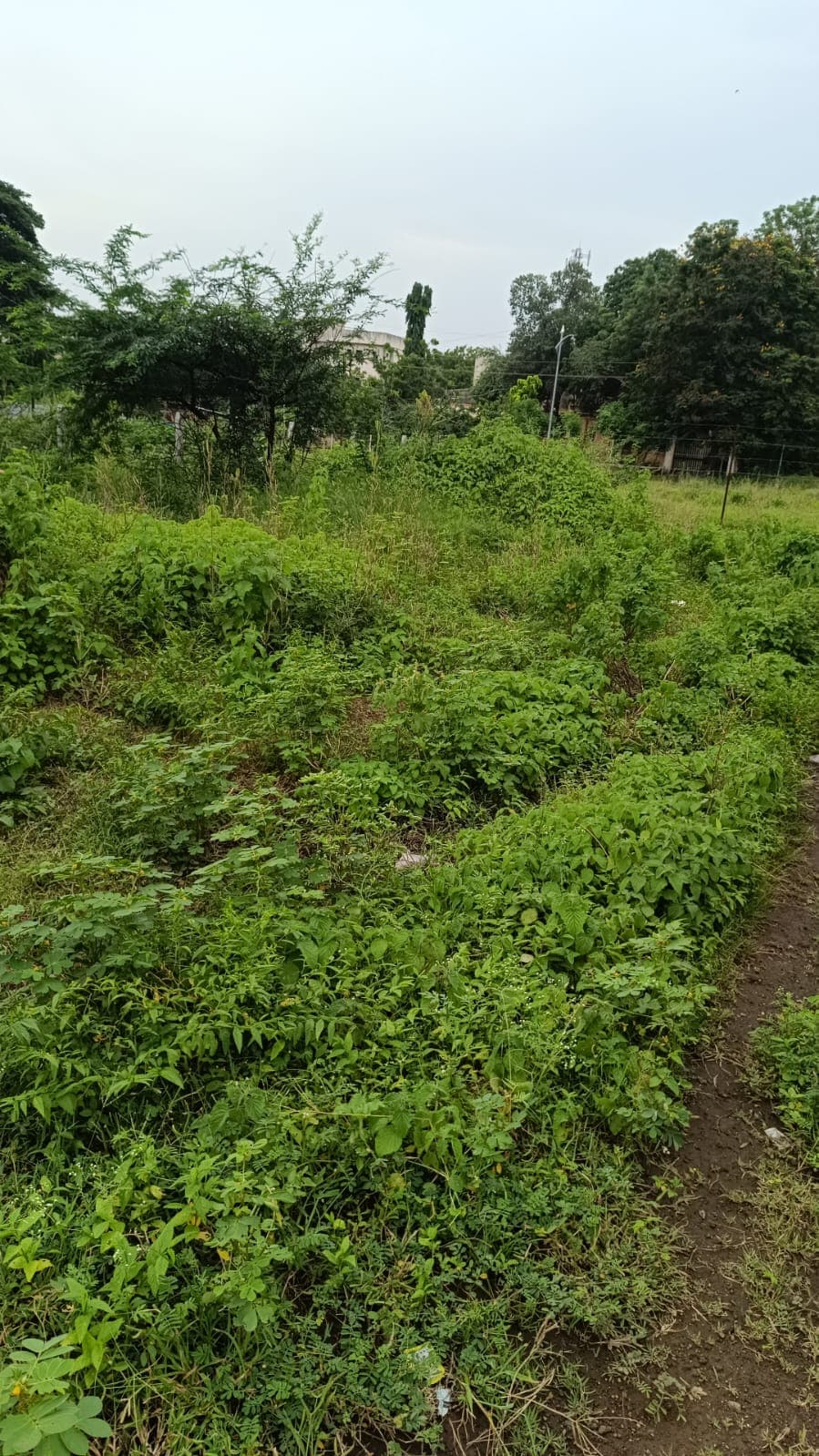 Property Photos 17