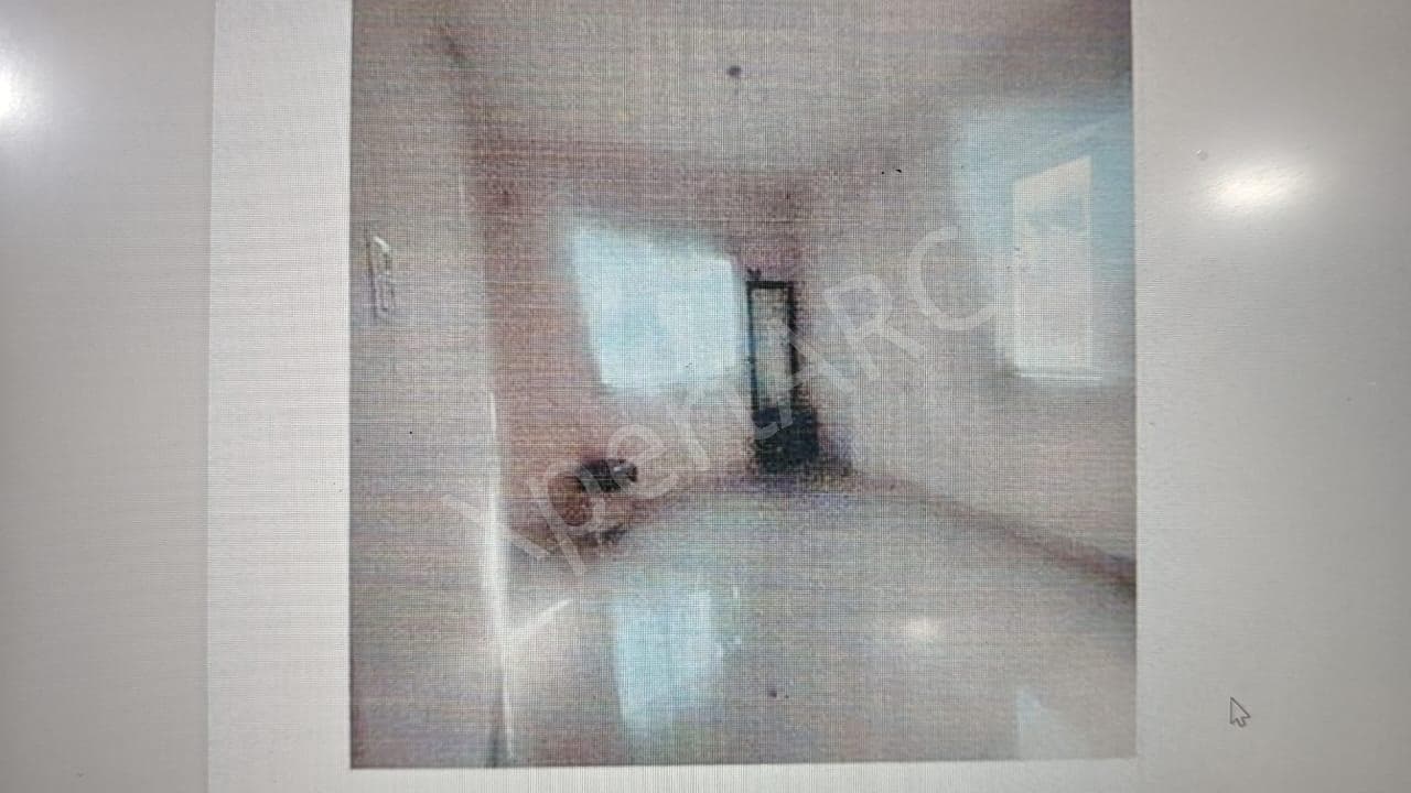 Property Photos 4
