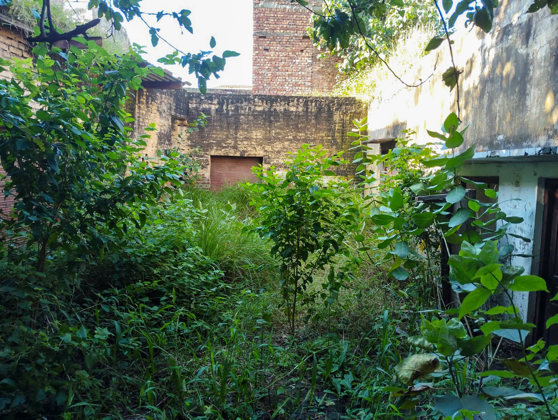 Property Photos 4