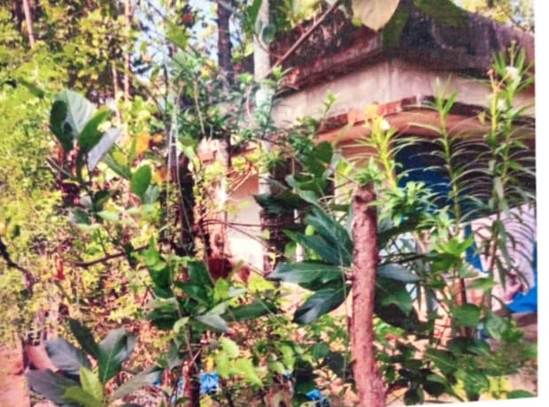 Property Photos 1