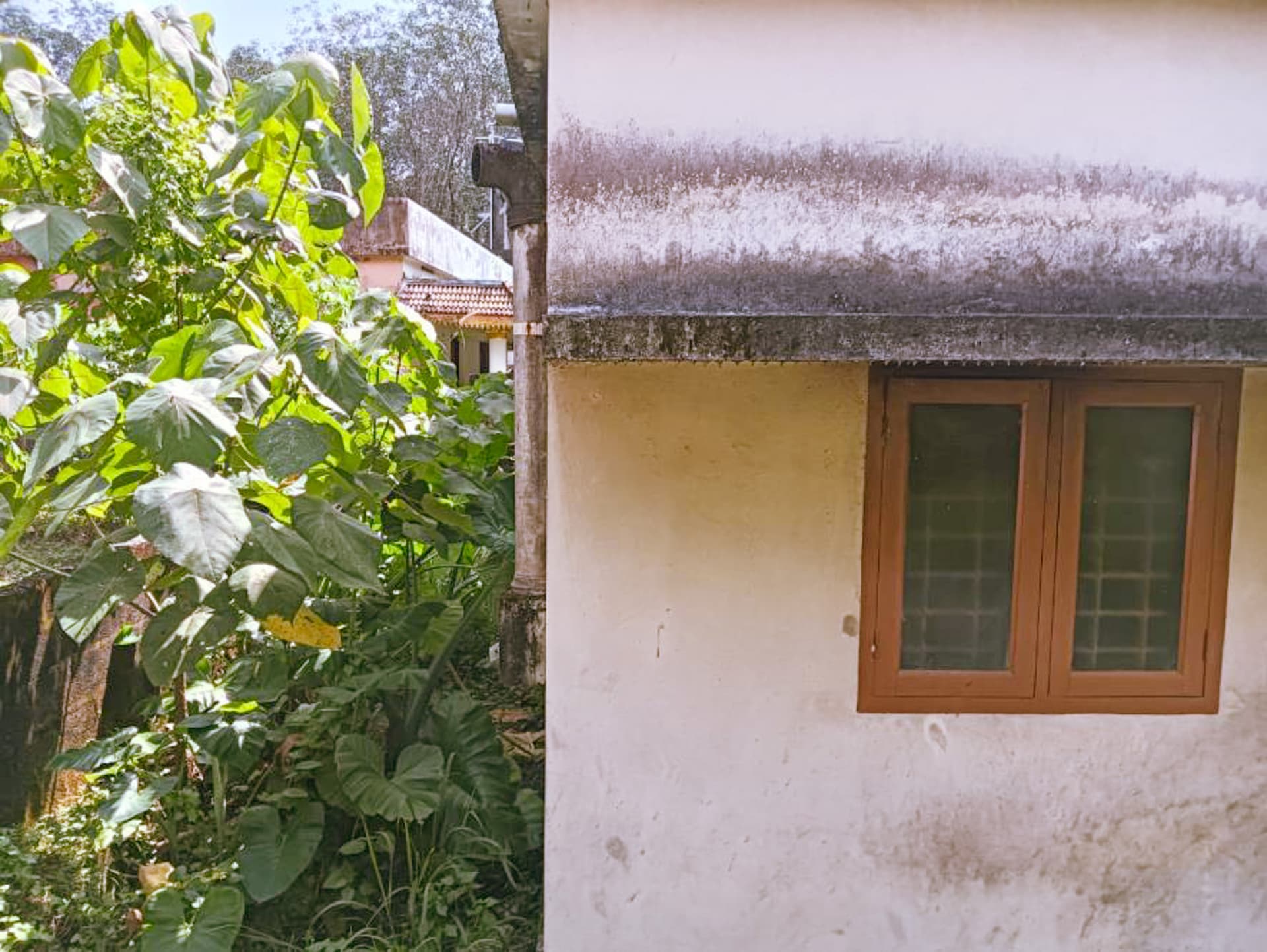 Property Photos 2