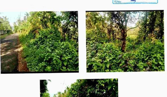 Property Photos 4