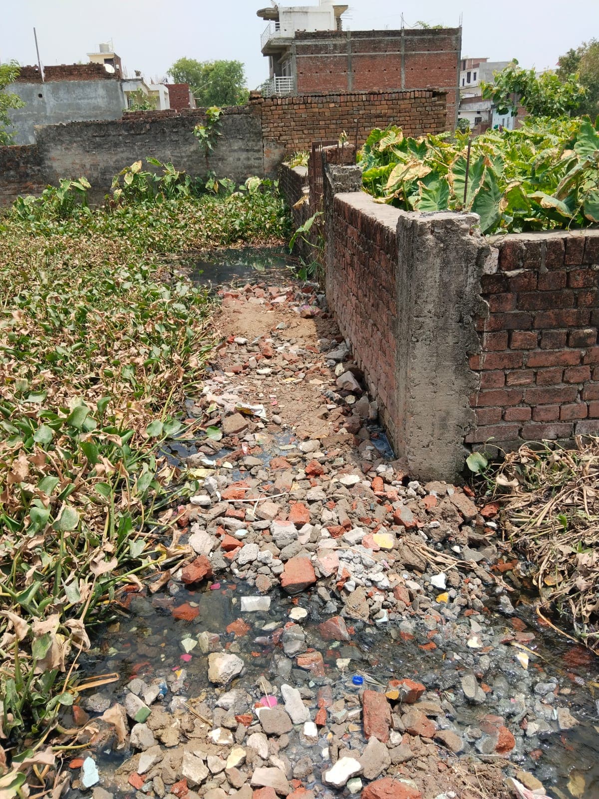 Property Photos 2
