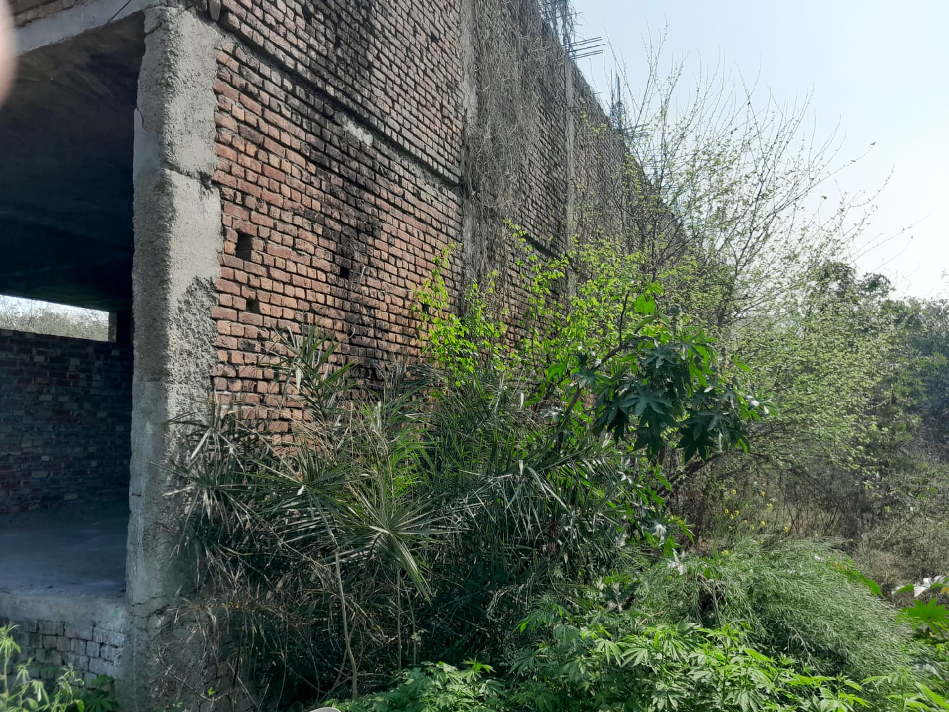 Property Photos 25