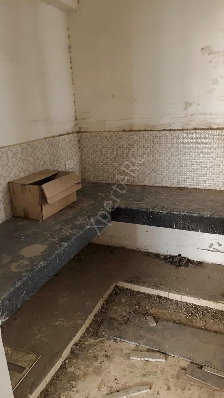 Property Photos 19