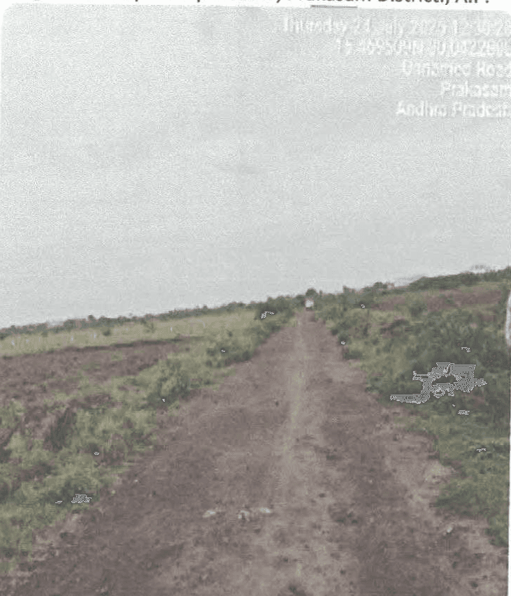 Property Photos 2