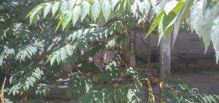 Property Photos 5