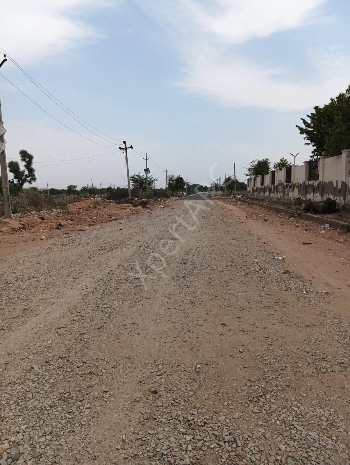 Property Photos 9