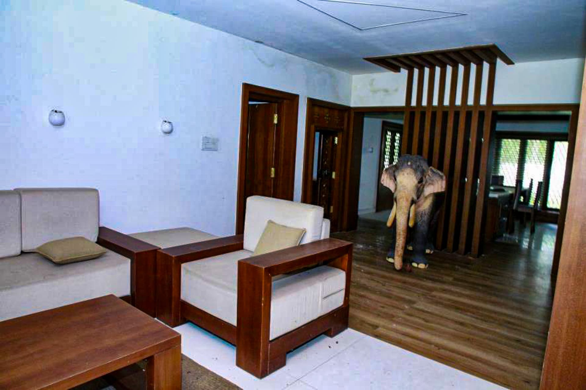 Property Photos 5