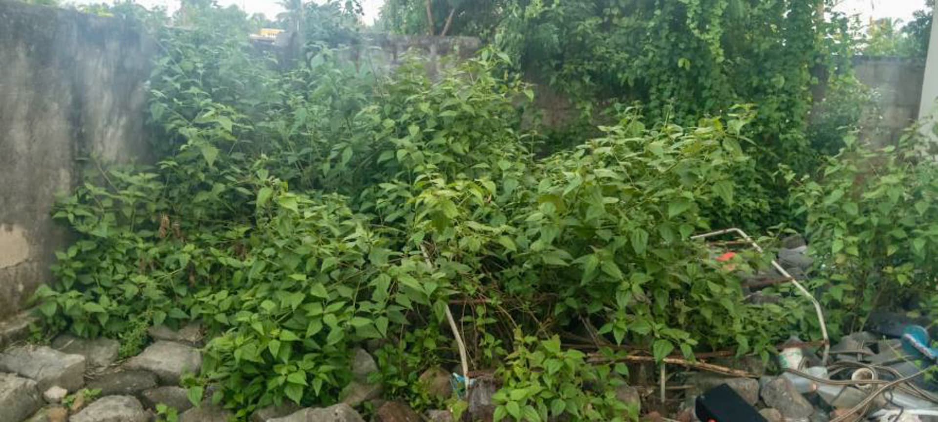 Property Photos 25