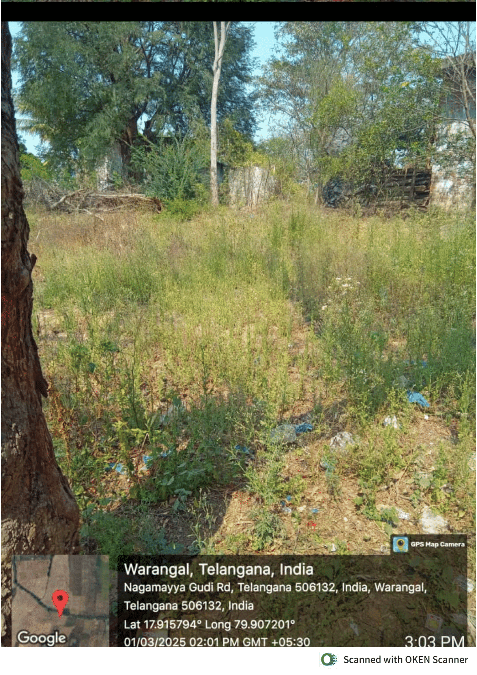Property Photos 2