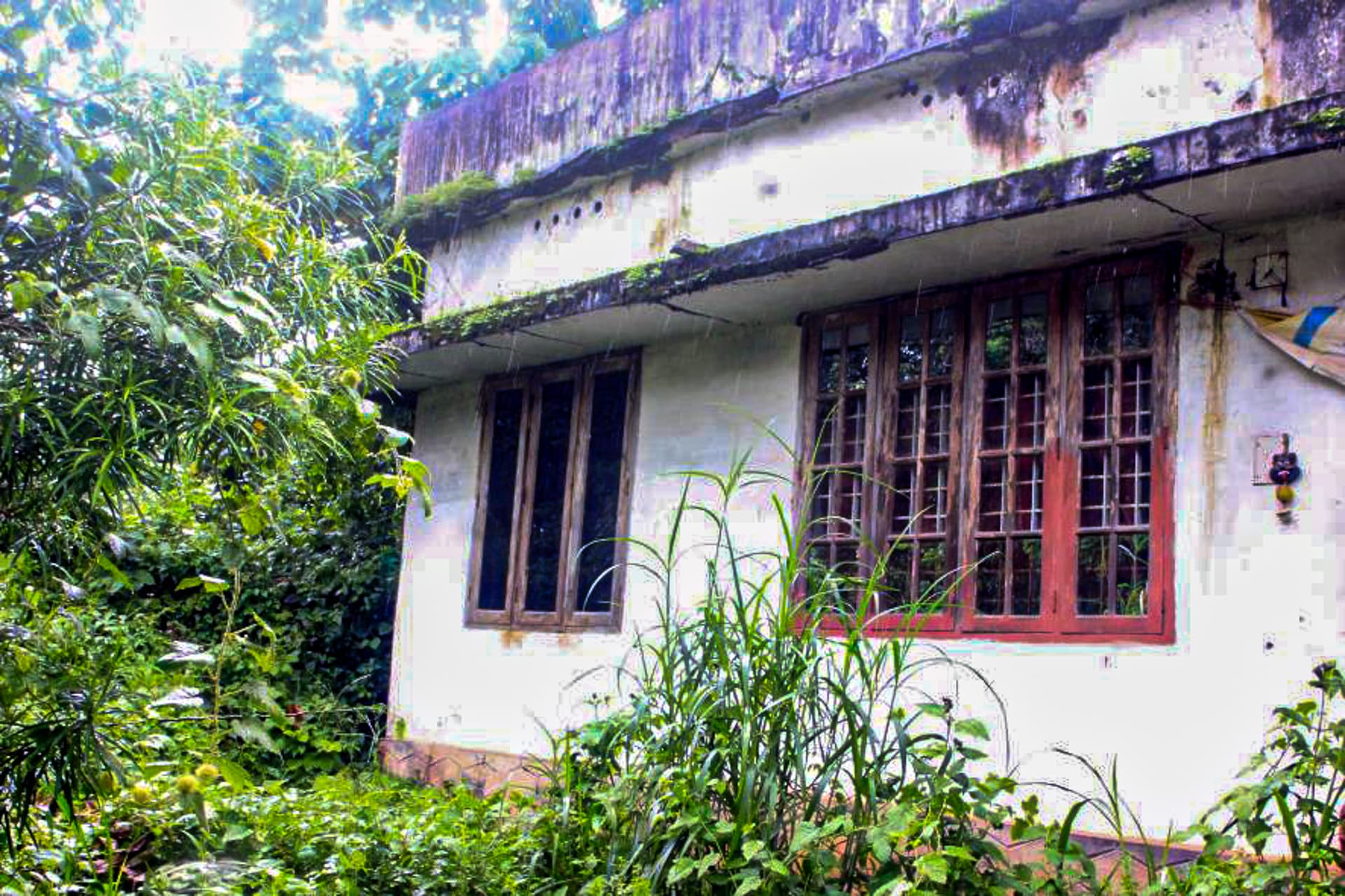 Property Photos 5