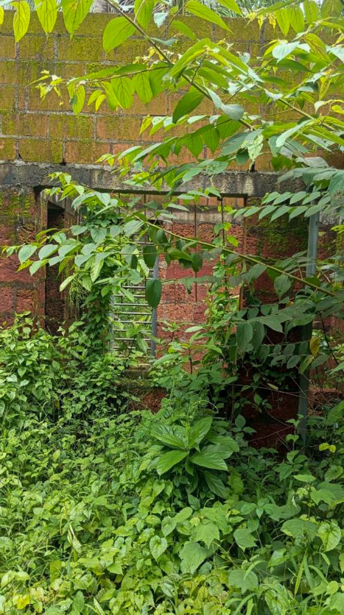 Property Photos 12