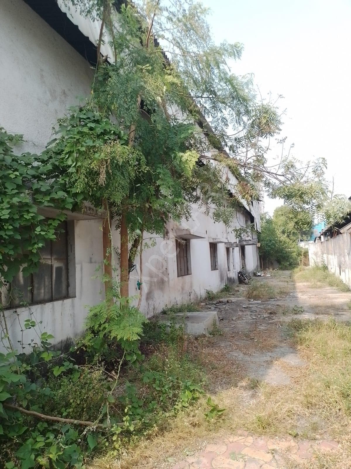 Property Photos 3