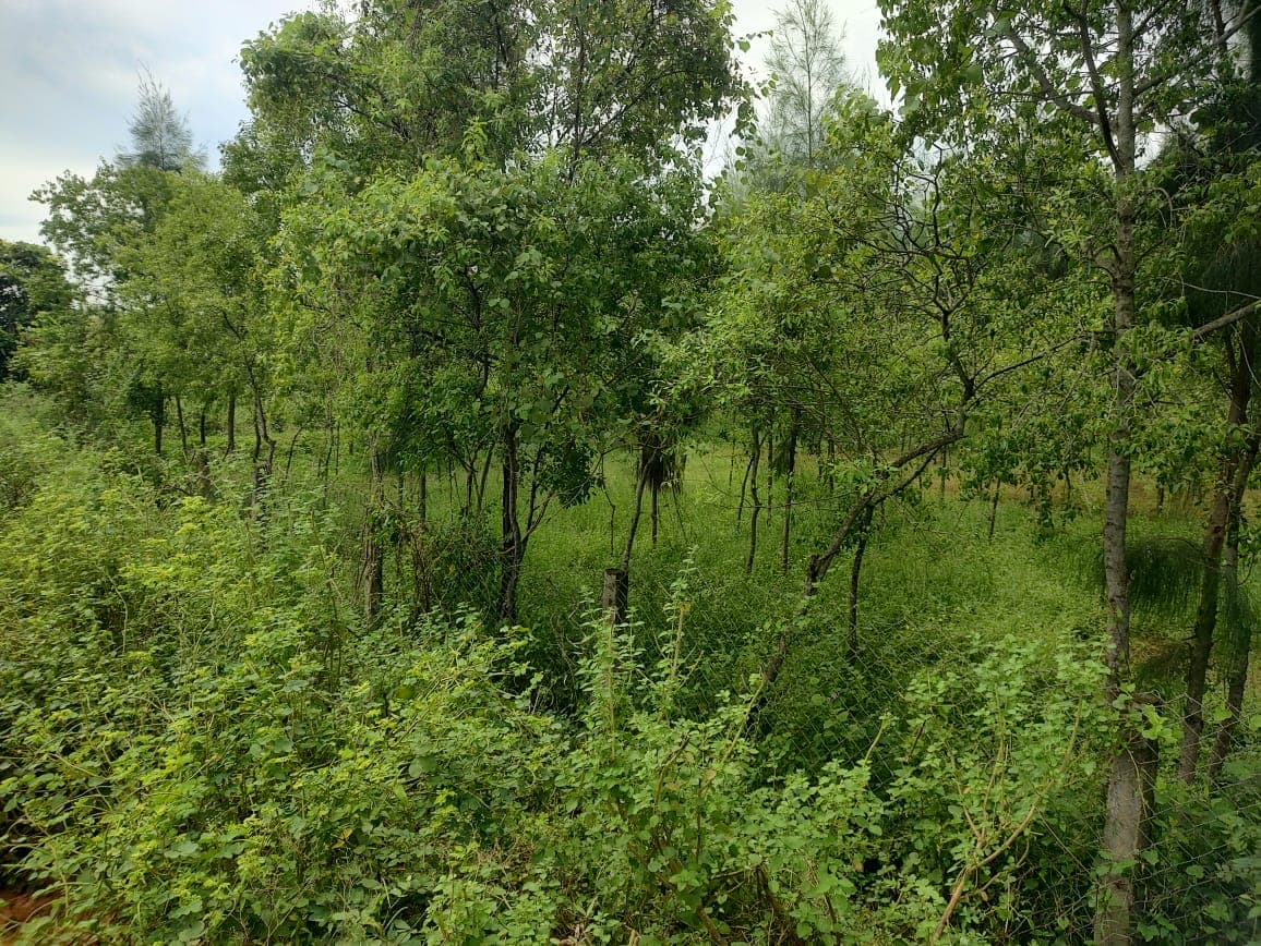 Property Photos 6