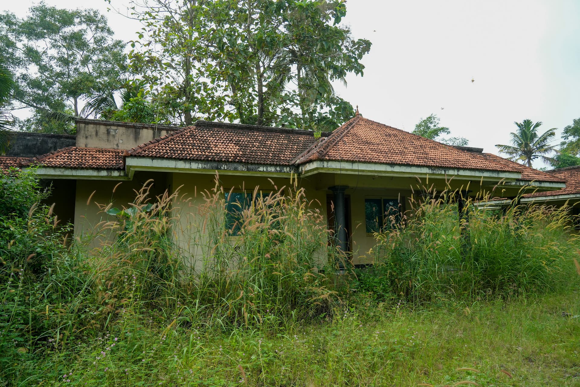 Property Photos 2
