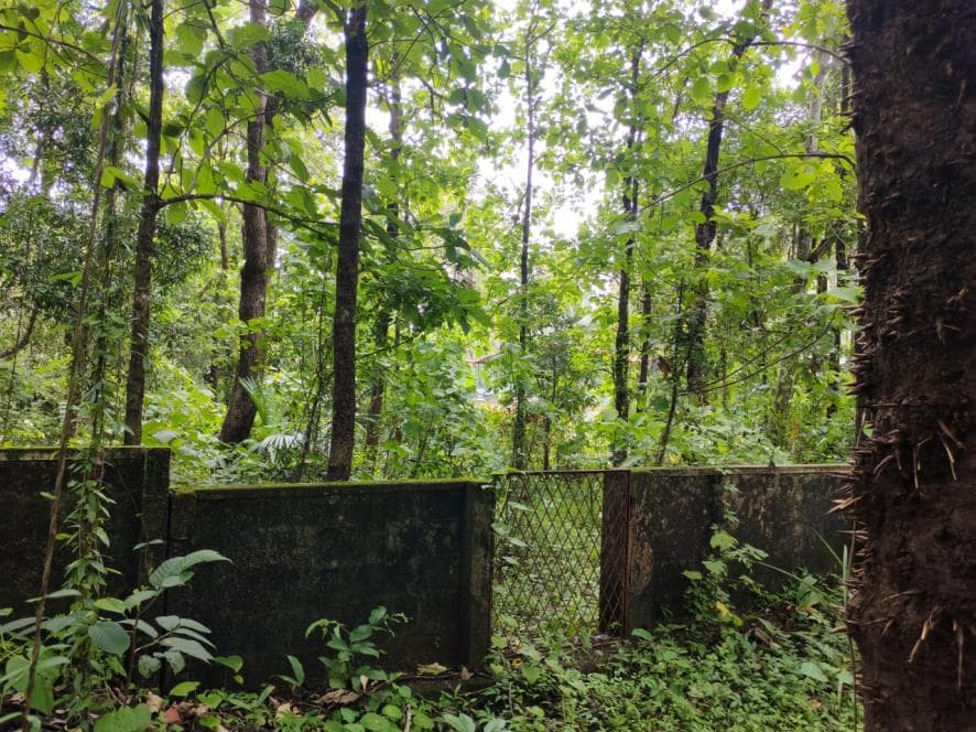 Property Photos 3