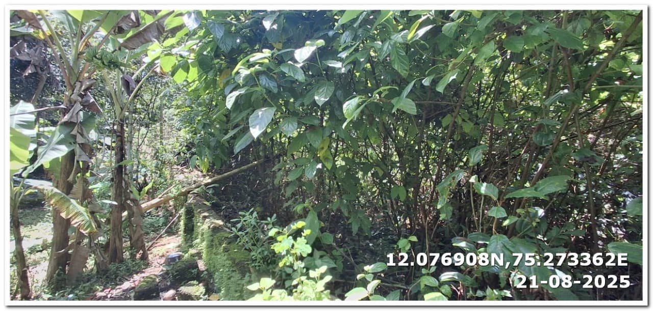 Property Photos 2